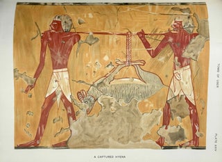 Five Theban tombs. Being those of Mentuherkhepeshef, User, Daga, Nehemawäy and Tati.