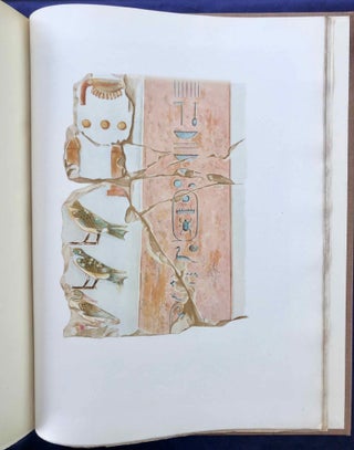 Robb de Peyster Tytus series, complete set of 5 volumes. Vol. I: The tomb of Nakht. Vol. II: The tomb of Puyemre. Part I: The hall of memories. Vol. III: The tomb of Puyemre. Part II: The chapels of hope. Vol. IV: The tomb of two sculptors at Thebes. Vol. V: Two ramesside tombs at Thebes (complete set)
