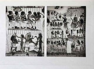 Robb de Peyster Tytus series, Vol. IV: The tomb of two sculptors at Thebes