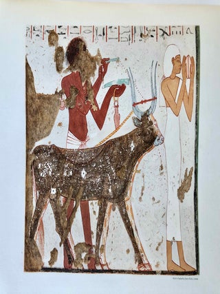 Robb de Peyster Tytus series, Vol. IV: The tomb of two sculptors at Thebes