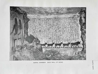 The tomb of Amenemhet (No 82)[newline]M0433e-14.jpeg
