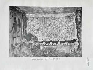 The tomb of Amenemhet (No 82)