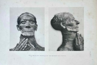 Item #M0442g The tomb of Iouiya and Touiyou. DAVIS Theodore M