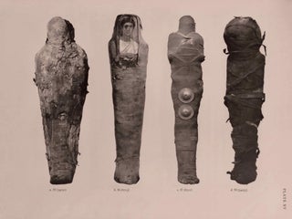 Catalogue of Egyptian Antiquities in the British Museum. Vol. I: Mummies and Human Remains[newline]M0444d-13.jpg