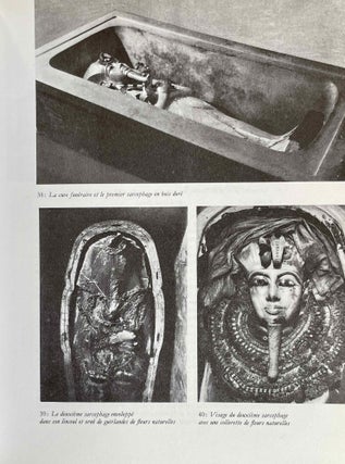 Toutankhamon, vie et mort d'un pharaon[newline]M0454-08.jpeg