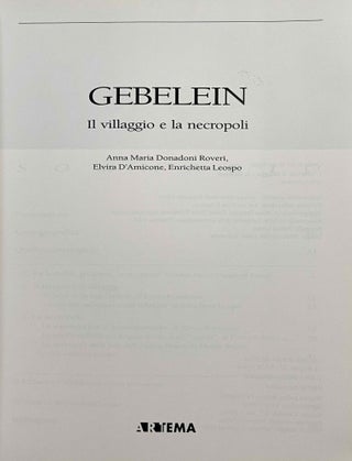 Gebelein - Il villaggio e la necropoli[newline]M0461a-01.jpeg