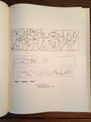 Boston MFA Giza Mastaba Series, Vol. 1-8. 1-D. Dunham, W.K. Simpson, The Mastaba of Queen Mersyankh III. 2-D. Dunham, W.K. Simpon, The Mastabas of Qar and Idu. 3-W.K. Simpson, The Mastabas of Kawab, Khafkhufu I and II. G 7110-20, 7130-40, and 7150 and subsidiary mastabas of Street G 7100. 4-W.K. Simpson, Mastabas of the Western Cemetery: Part I. Sekhemka (G1029), Tjetu I (G2001), Iasen (G2196), Penmeru (G2197), Hagy, Nefertjentet and Herunefer (G2352/53), Djaty, Tjetu II and Nimesti (G2337X, 2343, 2366). 5-K. Weeks, Mastabas of cemetery G6000. 6-A.M. Roth, A Cemetery of Palace Attendants. Including G 2084-2099, G 2230+2231, and G 2240. 7-E. Brovarski, The Senedjemib Complex, Part 1, Vols. I-II. 8-P. der Manuelian, Mastabas of Nucleus Cemetery G 2100, Part 1: Major Mastabas G 2100-2220 (complete set)