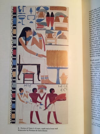 Boston MFA Giza Mastaba Series, Vol. 1-8. 1-D. Dunham, W.K. Simpson, The Mastaba of Queen Mersyankh III. 2-D. Dunham, W.K. Simpon, The Mastabas of Qar and Idu. 3-W.K. Simpson, The Mastabas of Kawab, Khafkhufu I and II. G 7110-20, 7130-40, and 7150 and subsidiary mastabas of Street G 7100. 4-W.K. Simpson, Mastabas of the Western Cemetery: Part I. Sekhemka (G1029), Tjetu I (G2001), Iasen (G2196), Penmeru (G2197), Hagy, Nefertjentet and Herunefer (G2352/53), Djaty, Tjetu II and Nimesti (G2337X, 2343, 2366). 5-K. Weeks, Mastabas of cemetery G6000. 6-A.M. Roth, A Cemetery of Palace Attendants. Including G 2084-2099, G 2230+2231, and G 2240. 7-E. Brovarski, The Senedjemib Complex, Part 1, Vols. I-II. 8-P. der Manuelian, Mastabas of Nucleus Cemetery G 2100, Part 1: Major Mastabas G 2100-2220 (complete set)