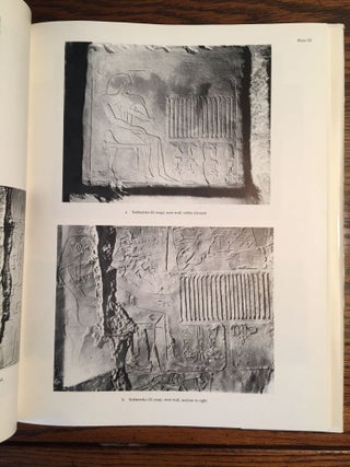Boston MFA Giza Mastaba Series, Vol. 1-8. 1-D. Dunham, W.K. Simpson, The Mastaba of Queen Mersyankh III. 2-D. Dunham, W.K. Simpon, The Mastabas of Qar and Idu. 3-W.K. Simpson, The Mastabas of Kawab, Khafkhufu I and II. G 7110-20, 7130-40, and 7150 and subsidiary mastabas of Street G 7100. 4-W.K. Simpson, Mastabas of the Western Cemetery: Part I. Sekhemka (G1029), Tjetu I (G2001), Iasen (G2196), Penmeru (G2197), Hagy, Nefertjentet and Herunefer (G2352/53), Djaty, Tjetu II and Nimesti (G2337X, 2343, 2366). 5-K. Weeks, Mastabas of cemetery G6000. 6-A.M. Roth, A Cemetery of Palace Attendants. Including G 2084-2099, G 2230+2231, and G 2240. 7-E. Brovarski, The Senedjemib Complex, Part 1, Vols. I-II. 8-P. der Manuelian, Mastabas of Nucleus Cemetery G 2100, Part 1: Major Mastabas G 2100-2220 (complete set)