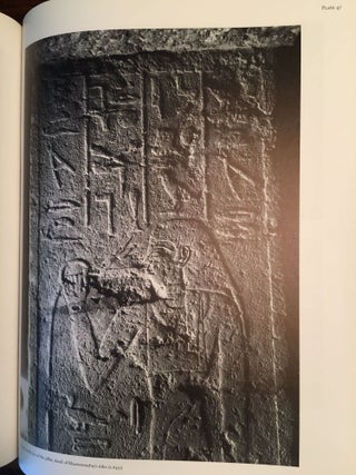 Boston MFA Giza Mastaba Series, Vol. 1-8. 1-D. Dunham, W.K. Simpson, The Mastaba of Queen Mersyankh III. 2-D. Dunham, W.K. Simpon, The Mastabas of Qar and Idu. 3-W.K. Simpson, The Mastabas of Kawab, Khafkhufu I and II. G 7110-20, 7130-40, and 7150 and subsidiary mastabas of Street G 7100. 4-W.K. Simpson, Mastabas of the Western Cemetery: Part I. Sekhemka (G1029), Tjetu I (G2001), Iasen (G2196), Penmeru (G2197), Hagy, Nefertjentet and Herunefer (G2352/53), Djaty, Tjetu II and Nimesti (G2337X, 2343, 2366). 5-K. Weeks, Mastabas of cemetery G6000. 6-A.M. Roth, A Cemetery of Palace Attendants. Including G 2084-2099, G 2230+2231, and G 2240. 7-E. Brovarski, The Senedjemib Complex, Part 1, Vols. I-II. 8-P. der Manuelian, Mastabas of Nucleus Cemetery G 2100, Part 1: Major Mastabas G 2100-2220 (complete set)