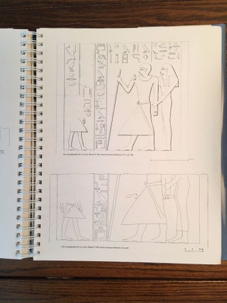 Boston MFA Giza Mastaba Series, Vol. 1-8. 1-D. Dunham, W.K. Simpson, The Mastaba of Queen Mersyankh III. 2-D. Dunham, W.K. Simpon, The Mastabas of Qar and Idu. 3-W.K. Simpson, The Mastabas of Kawab, Khafkhufu I and II. G 7110-20, 7130-40, and 7150 and subsidiary mastabas of Street G 7100. 4-W.K. Simpson, Mastabas of the Western Cemetery: Part I. Sekhemka (G1029), Tjetu I (G2001), Iasen (G2196), Penmeru (G2197), Hagy, Nefertjentet and Herunefer (G2352/53), Djaty, Tjetu II and Nimesti (G2337X, 2343, 2366). 5-K. Weeks, Mastabas of cemetery G6000. 6-A.M. Roth, A Cemetery of Palace Attendants. Including G 2084-2099, G 2230+2231, and G 2240. 7-E. Brovarski, The Senedjemib Complex, Part 1, Vols. I-II. 8-P. der Manuelian, Mastabas of Nucleus Cemetery G 2100, Part 1: Major Mastabas G 2100-2220 (complete set)