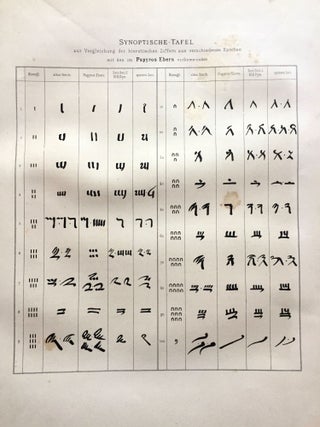 Papyros Ebers. Erster Band: Einleitung und Text, Tafel I-LXIX Zweiter Band: Glossar und Text, Tafel LXX-CX (complete set)