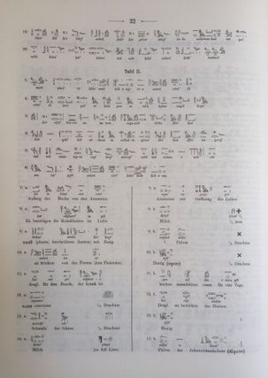 Papyros Ebers. Erster Band: Einleitung und Text, Tafel I-LXIX. Zweiter Band: Glossar und Text, Tafel LXX-CX (complete set)[newline]M0486a-13.jpg