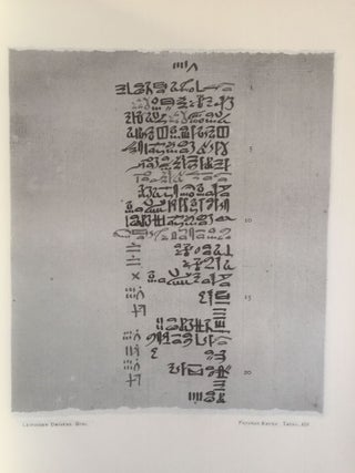Papyros Ebers. Erster Band: Einleitung und Text, Tafel I-LXIX. Zweiter Band: Glossar und Text, Tafel LXX-CX (complete set)[newline]M0486a-17.jpg