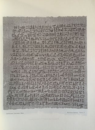 Item #M0486a Papyros Ebers. Erster Band: Einleitung und Text, Tafel I-LXIX. Zweiter Band: Glossar...[newline]M0486a.jpg