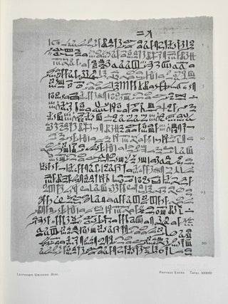 Papyros Ebers. Erster Band: Einleitung und Text, Tafel I-LXIX. Zweiter Band: Glossar und Text, Tafel LXX-CX (complete set)[newline]M0486o-07.jpeg
