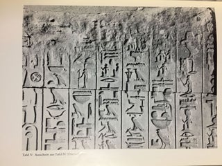 Hieroglyphische Inschriften des alten Reiches[newline]M0497c-06.jpg