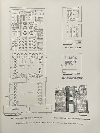 Medinet Habu graffiti facsimiles[newline]M0498d-05.jpeg