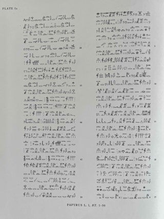 Oracular amuletic decrees of the late New Kingdom. Vol. I: Text. Vol. II: Plates (complete set)[newline]M0502c-13.jpeg