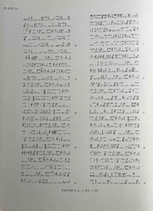 Oracular amuletic decrees of the late New Kingdom. Vol. I: Text. Vol. II: Plates (complete set)[newline]M0502h-13.jpeg