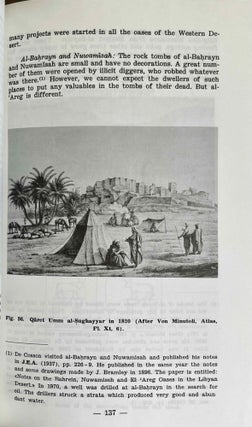 Siwa oasis