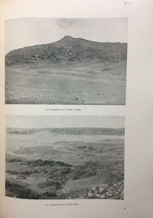 The inscriptions of the amethyst quarries at Wadi el-Hudi[newline]M0557c-05.jpg