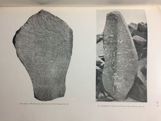 The inscriptions of the amethyst quarries at Wadi el-Hudi[newline]M0557c-06.jpg