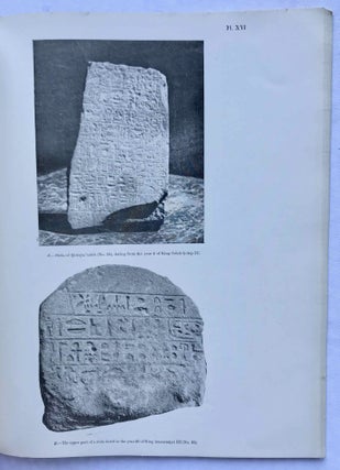 The inscriptions of the amethyst quarries at Wadi el-Hudi[newline]M0557d-06.jpg