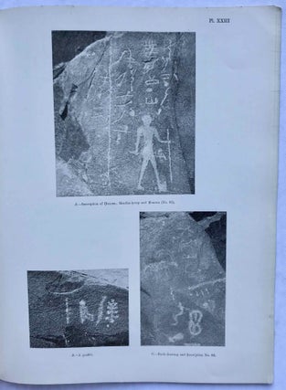 The inscriptions of the amethyst quarries at Wadi el-Hudi[newline]M0557d-07.jpg