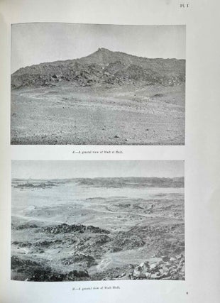 The inscriptions of the amethyst quarries at Wadi el-Hudi[newline]M0557e-10.jpeg