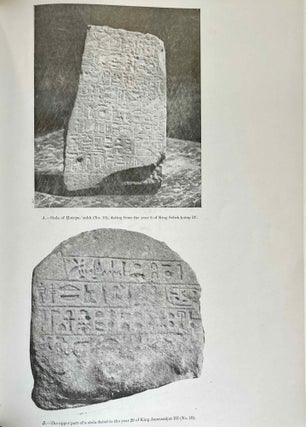 The inscriptions of the amethyst quarries at Wadi el-Hudi[newline]M0557e-12.jpeg