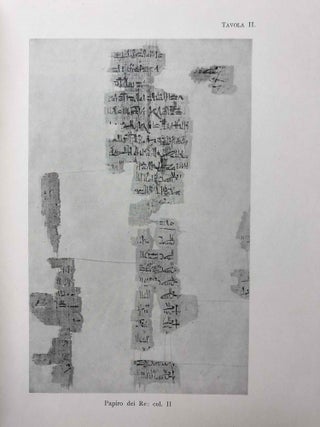 Il Papiro dei Re restaurato[newline]M0564a-20.jpg