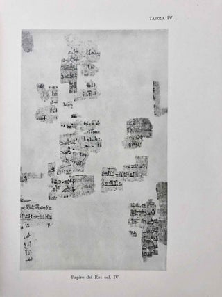 Il Papiro dei Re restaurato[newline]M0564a-22.jpg
