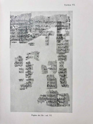 Il Papiro dei Re restaurato[newline]M0564a-24.jpg
