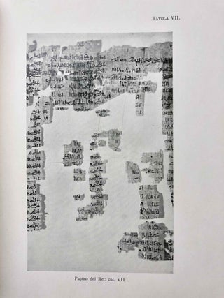 Il Papiro dei Re restaurato[newline]M0564a-25.jpg