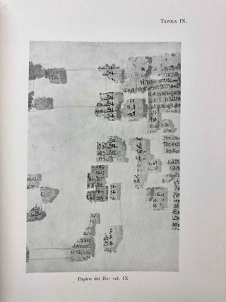 Il Papiro dei Re restaurato[newline]M0564a-27.jpg