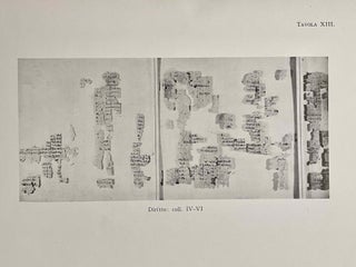 Il Papiro dei Re restaurato[newline]M0564c-14.jpeg