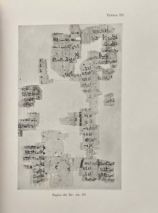 Il Papiro dei Re restaurato[newline]M0564d-10.jpeg