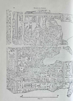 Ägyptologische Studien. Hermann Grapow zum 70. Geburtstag gewidmet.[newline]M0577-11.jpeg