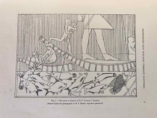Faune égyptienne antique. Recherches sur les poissons représentés dans quelques tombeaux égyptiens de l’Ancien Empire.
