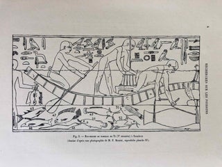 Faune égyptienne antique. Recherches sur les poissons représentés dans quelques tombeaux égyptiens de l’Ancien Empire.