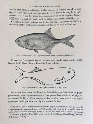 Faune égyptienne antique. Recherches sur les poissons représentés dans quelques tombeaux égyptiens de l’Ancien Empire.