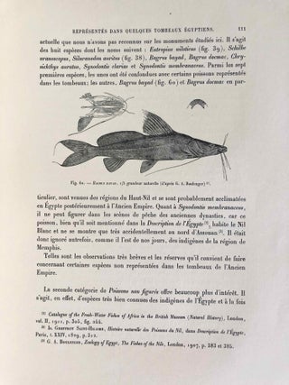 Faune égyptienne antique. Recherches sur les poissons représentés dans quelques tombeaux égyptiens de l’Ancien Empire.