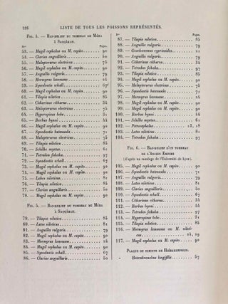 Faune égyptienne antique. Recherches sur les poissons représentés dans quelques tombeaux égyptiens de l’Ancien Empire.