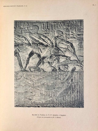 Faune égyptienne antique. Recherches sur les poissons représentés dans quelques tombeaux égyptiens de l’Ancien Empire.
