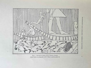 Faune égyptienne antique. Recherches sur les poissons représentés dans quelques tombeaux égyptiens de l’Ancien Empire.