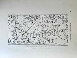 Faune égyptienne antique. Recherches sur les poissons représentés dans quelques tombeaux égyptiens de l’Ancien Empire.