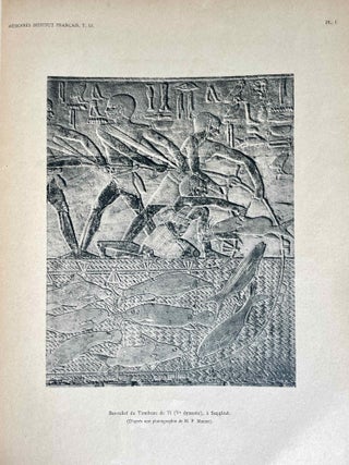 Faune égyptienne antique. Recherches sur les poissons représentés dans quelques tombeaux égyptiens de l’Ancien Empire.