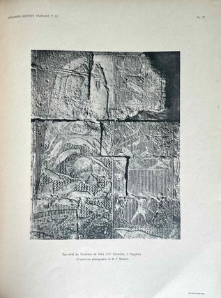 Faune égyptienne antique. Recherches sur les poissons représentés dans quelques tombeaux égyptiens de l’Ancien Empire.