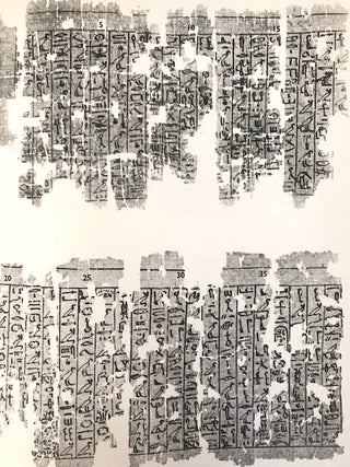 The Ramesseum papyri[newline]M0614d-05.jpg